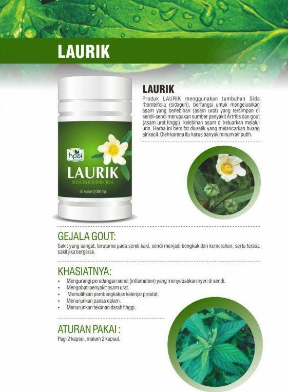 LAURIK Obat Herbal ASAM URAT, GOUT